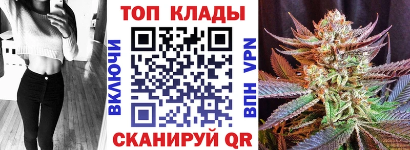 Купить наркотики цена Лесосибирск OMG как зайти  Cocaine  Альфа ПВП  Канабис  МЕФ  ГАШ 