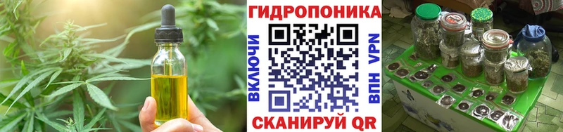 купить наркоту  Лесосибирск  Еда ТГК марихуана 
