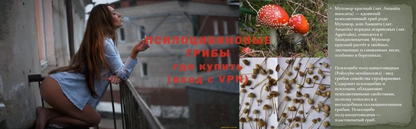 прущие крисы Балахна